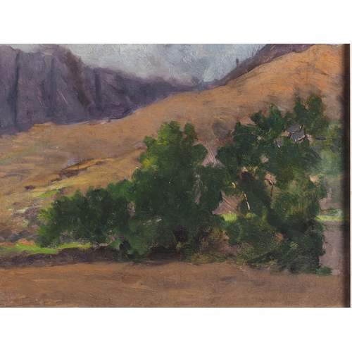 466 - An oil on board: South African Bush scene with distant mountains, 9 1/4