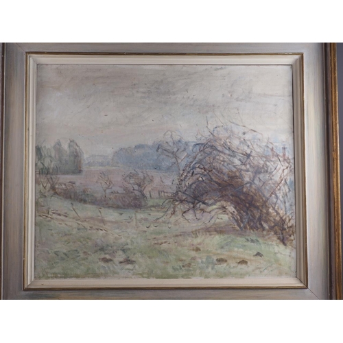 469 - English School: oil on canvas, winter landscape with fields and tree, 23 1/2