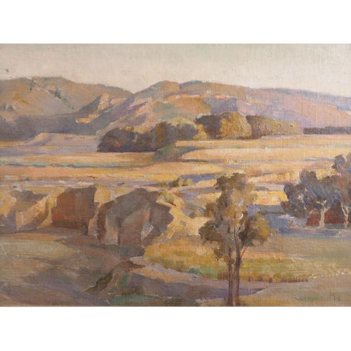 474 - M M: oil on board, South African landscape with trees and distant hills, 11 1/2