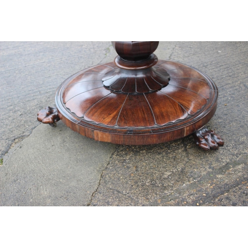 497 - An early 19th century rosewood circular tilt top dining table, on faceted bulbous column and lion pa... 