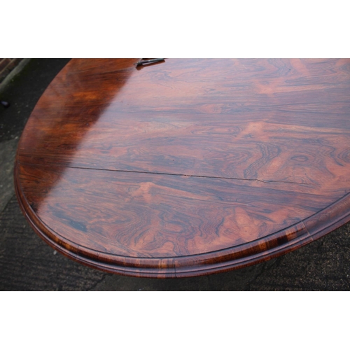 497 - An early 19th century rosewood circular tilt top dining table, on faceted bulbous column and lion pa... 