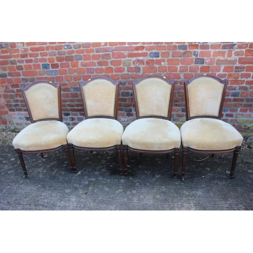 524 - A matched set of six late 19th century Louis XVI design walnut showframe dining chairs with stuffed ... 