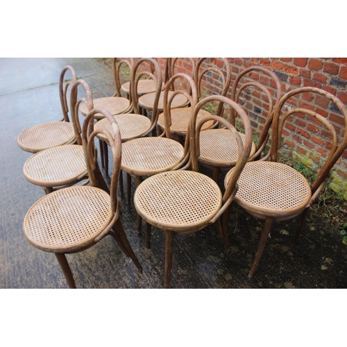 561 - A set of twelve Drevounia bentwood chairs with cane seats