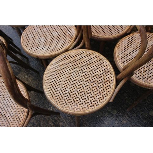 561 - A set of twelve Drevounia bentwood chairs with cane seats