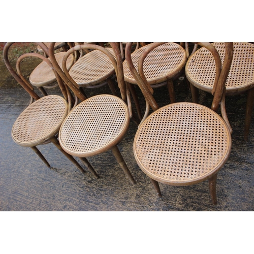 561 - A set of twelve Drevounia bentwood chairs with cane seats