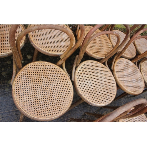 561 - A set of twelve Drevounia bentwood chairs with cane seats