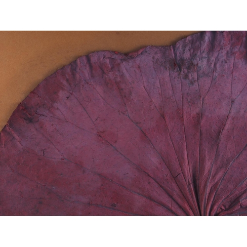 390 - A pair of pressed purple lily pads, in silvered frames