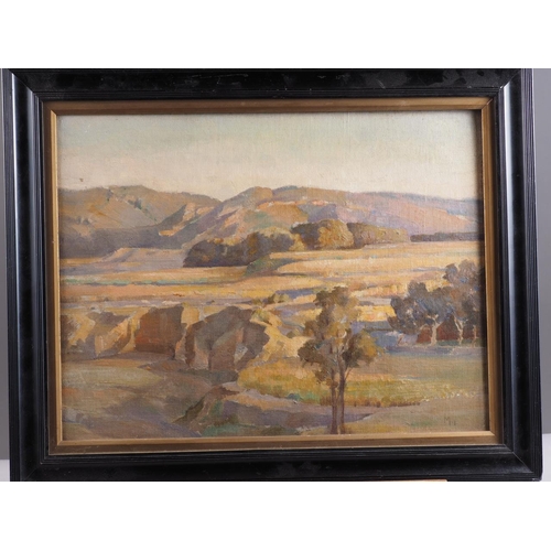 474 - M M: oil on board, South African landscape with trees and distant hills, 11 1/2