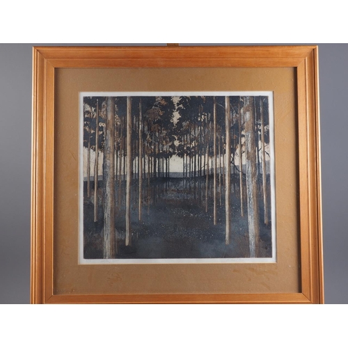 443 - Richard Benden?: a signed limited edition print, Solitary Walk, 3/75, in strip frame