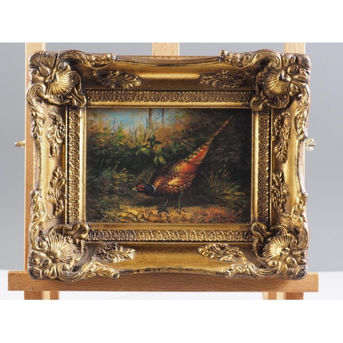 463 - A modern oleograph on board, study of a pheasant, in gilt frame