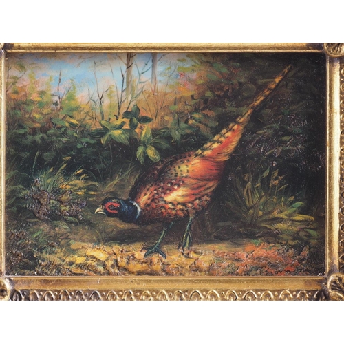 463 - A modern oleograph on board, study of a pheasant, in gilt frame