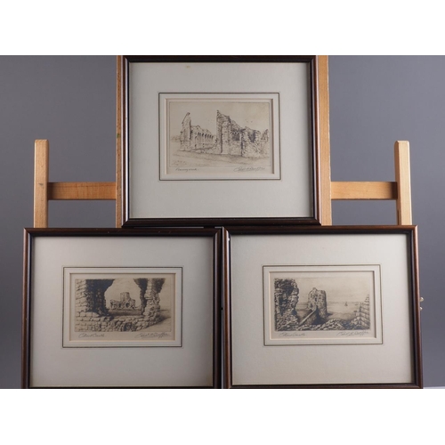 470 - Swatter?: three etchings, castle ruins, in strip frames