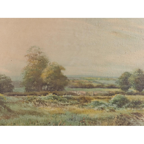 482 - George Oyston: watercolours, field with trees, 11 1/4