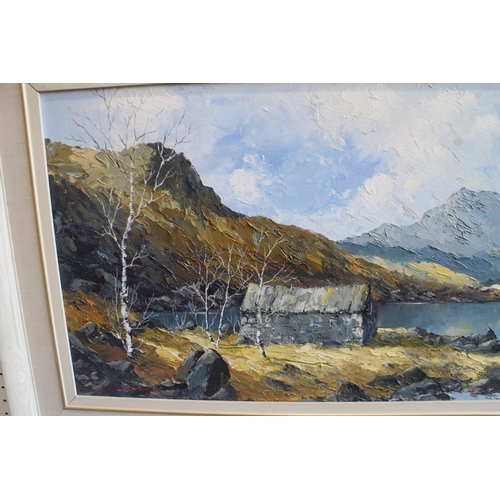 524 - †Charles Wyatt Warren: oil on board, view of Snowdon, 14 1/4