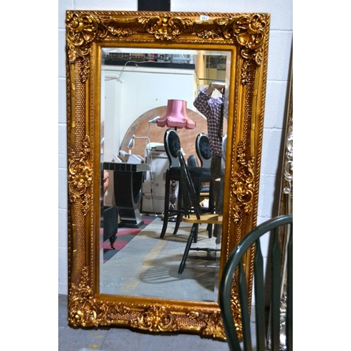 481 - Gold Gilt Framed Mirror - Appx 3'x5'