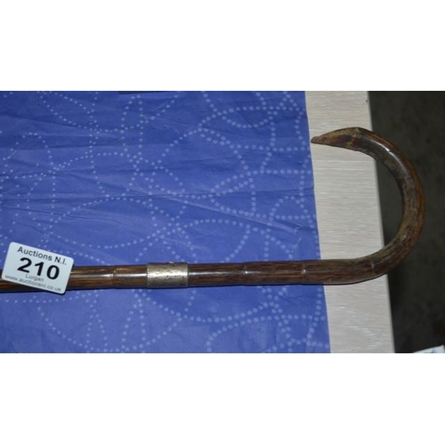 Lot 210       