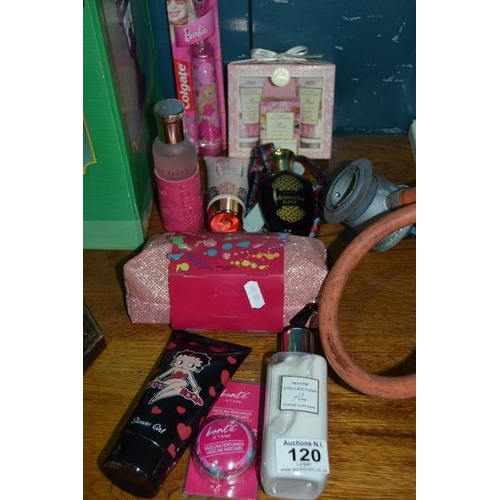 120 - Ladies Gift Lot