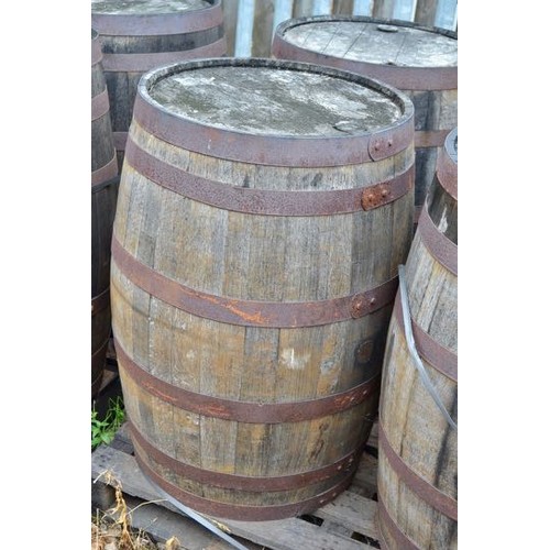 384 - Oak Whiskey Barrel