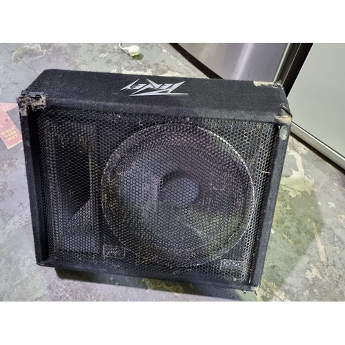 290 - Peavey Black Widow Foldback Wedged Speaker