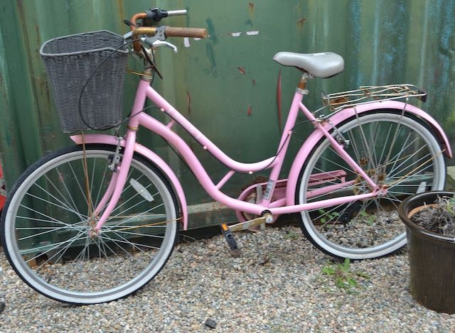 Ladies Pink Barracuda Bike