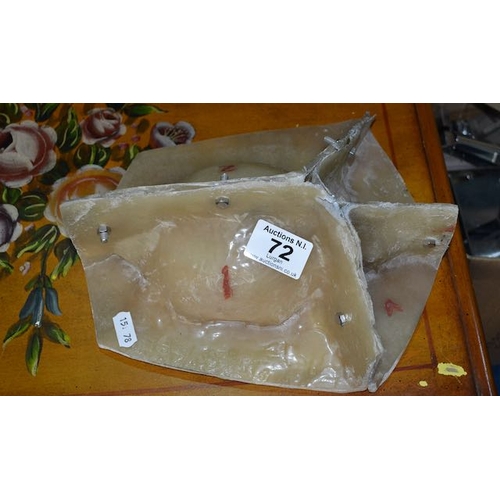 72 - Silicone Tortoise Mould