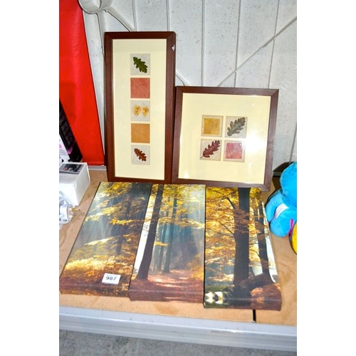 987 - 3 x Canvas + 2 x Box Framed Leaf Art