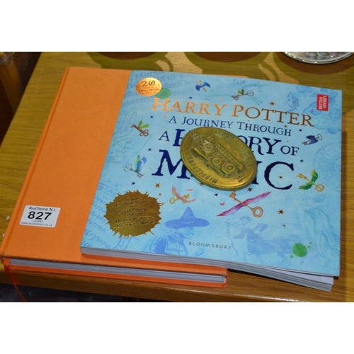 827 - Harry Potter Book x2