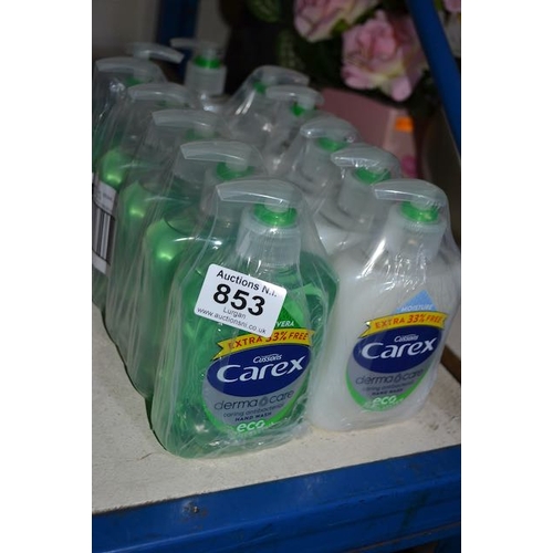 853 - 2x 6 Carex Anti Bac Soap