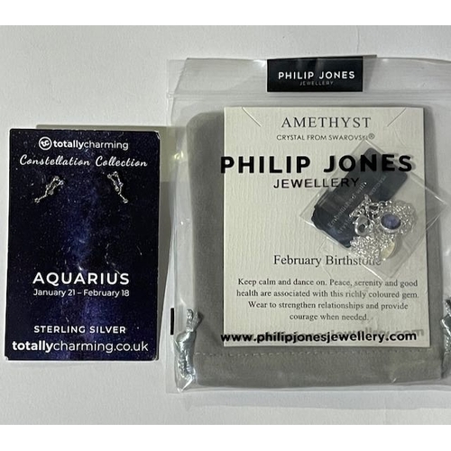 276 - Phillip Jones Swarovski February Birthstone Necklace + Silver Aquarius Constellation Earrings