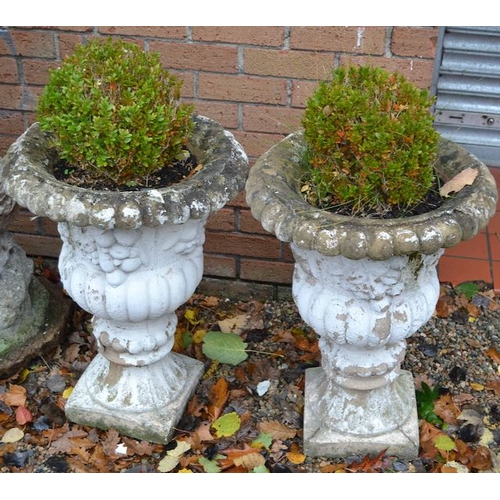 190 - Pair Of Concrete Planters With Contents - 2' 3