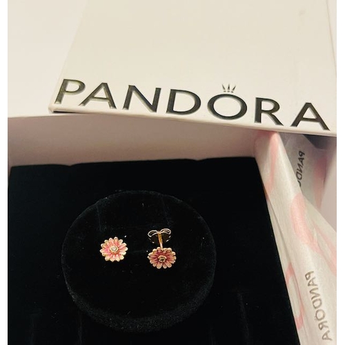 4345 - Pandora Pink Daisy Flower Rose Gold Plated Stud Earrings