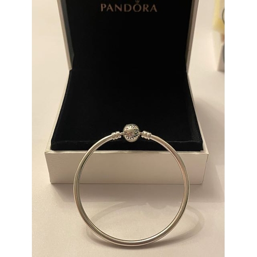 4378 - Pandora Moments Bangle