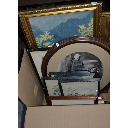 727 - Large Quantity Of Framed Pictures And Paintings