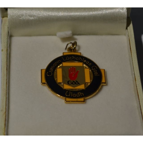 825 - 2014 GAA Medal