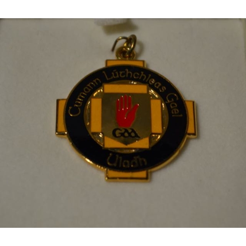 825 - 2014 GAA Medal