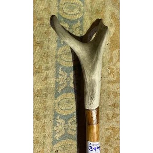 399B - Antler Thumb Stick on Chestnut Shank