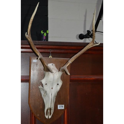 Lot 279       