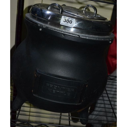 Lot 300       