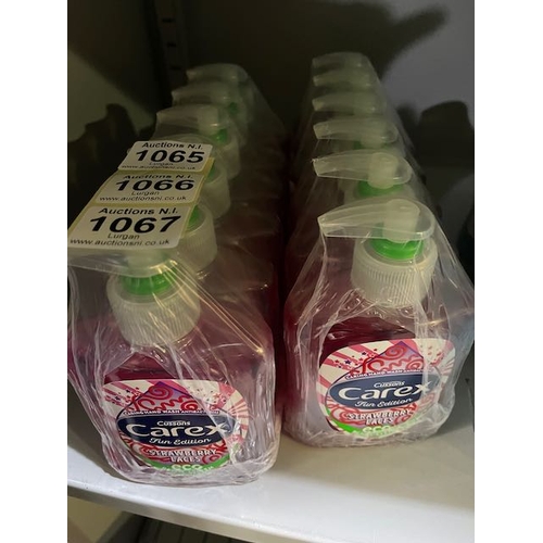 1066 - 2 x 6pk Carex Antibac Handsoap