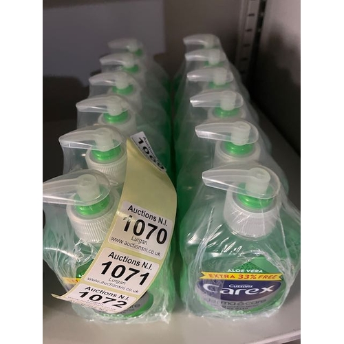 1069 - 2 x 6pk Carex Antibac Handsoap