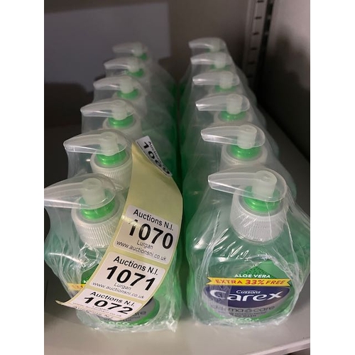 1072 - 2 x 6pk Carex Antibac Handsoap