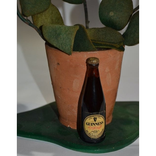 28 - Guinnessis Goodforia Floral Guinness Bottle Plant - Appx 8x14