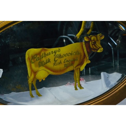 503 - Cadburys Cow Mirror - 70x18