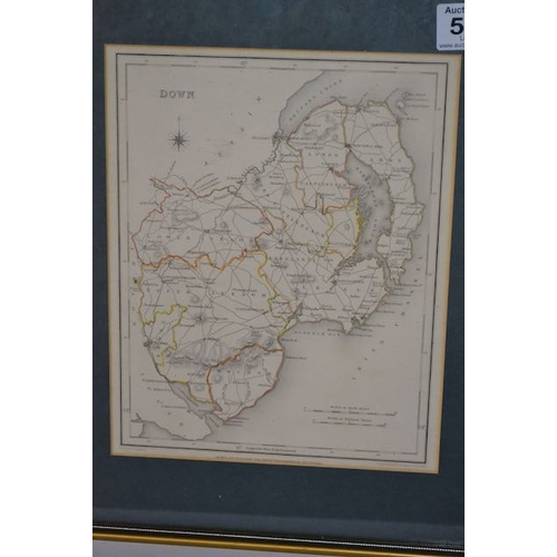 532 - Gilt Framed Map of Co Down