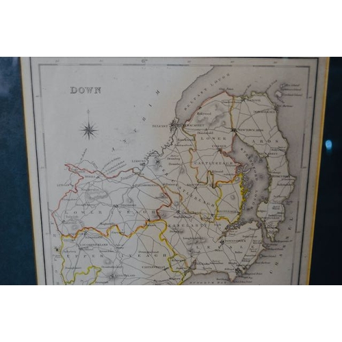 532 - Gilt Framed Map of Co Down