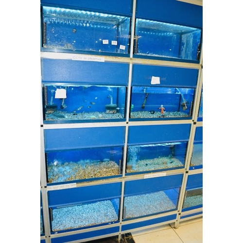 215 - Bank of 8 x  2' Fish Tanks With Filters, Heaters & Lights