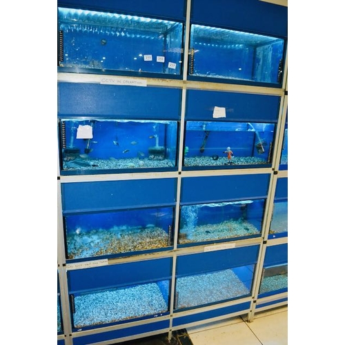 217 - Bank of 8 x 2' Fish Tanks With  Lights