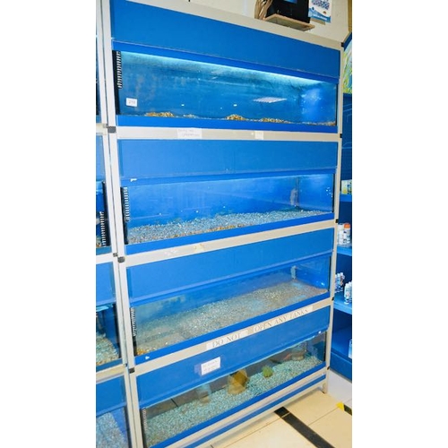 218 - Bank Of 4 x 4' Fishtanks With Lights, Filters & Heaters