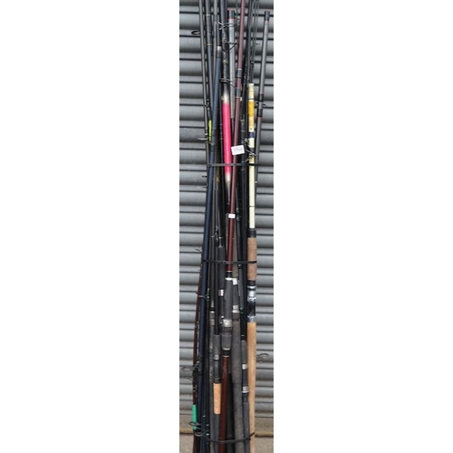 556A - Large Quantity Of Fishing Rods