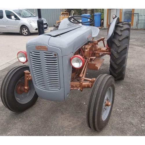 211 - 1957 Massey Ferguson 35 4 Cylinder Gold Belly Tractor - Complete Refurb 2 Years Ago